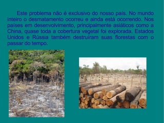Este problema não é exclusivo do nosso país. No mundo inteiro o desmatamento ocorreu e ainda está ocorrendo. Nos países em desenvolvimento, principalmente asiáticos como a  China , quase toda a cobertura  vegetal  foi explorada. Estados Unidos e Rússia também destruíram suas florestas com o passar do tempo. 