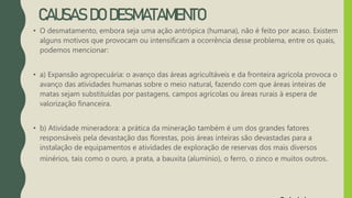 CAUSAS DO DESMATAMENTO
• O desmatamento, embora seja uma ação antrópica (humana), não é feito por acaso. Existem
alguns motivos que provocam ou intensificam a ocorrência desse problema, entre os quais,
podemos mencionar:
• a) Expansão agropecuária: o avanço das áreas agricultáveis e da fronteira agrícola provoca o
avanço das atividades humanas sobre o meio natural, fazendo com que áreas inteiras de
matas sejam substituídas por pastagens, campos agrícolas ou áreas rurais à espera de
valorização financeira.
• b) Atividade mineradora: a prática da mineração também é um dos grandes fatores
responsáveis pela devastação das florestas, pois áreas inteiras são devastadas para a
instalação de equipamentos e atividades de exploração de reservas dos mais diversos
minérios, tais como o ouro, a prata, a bauxita (alumínio), o ferro, o zinco e muitos outros.
 