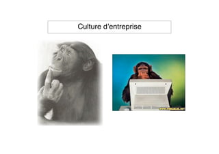 Culture d’entreprise
 