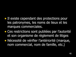 Il existe cependant des protections pour les patronymes, les noms de lieux et les marques commerciales.  Ces restrictions sont publiées par l’autorité et son organisme de règlement de litiges Nécessité de vérifier l’antériorité (marque, nom commercial, nom de famille, etc.) 