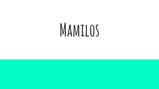 Mamilos
 