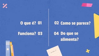 O que é?
Funciona?
Como se parece?
Do que se
alimenta?
01
03
02
04
 