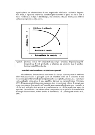 organização de um rebanho dentro de uma propriedade, otimizando a utilização do pasto.
Mas desde já é possível inferir que o melhor aproveitamento do pasto não se dê com a
maior eficiência de pastejo ou de utilização, mas sim numa situação intermediária onde se
tenha um compromisso entre ambos.
Figura 3. Relação teórica entre intensidade de pastejo e eficiência de pastejo (kg MS
ingerida/kg de MS produzida) e eficiência de utilização (kg de produto
animal/kg de MS produzida)
A verdadeira dimensão de um ecossistema pastoril.
O fundamento do conceito de ecossistema é o de que todas as partes do ambiente
estão inter-relacionadas. A pastagem deve ser entendida como tal. A estrutura de um
ecossistema pastoril é formada por componentes bióticos (plantas, animais, etc.) e abióticos
(solos, radiação, clima, etc.), de cujo equilíbrio depende sua sustentabilidade (Nabinger,
1998). Uma das características mais marcantes deste ecossistema é o fluxo de energia que
ocorre entre os seus diversos níveis (Figura 4). A captura da radiação solar pela vegetação, a
eficiência da utilização desta vegetação pelos herbívoros e a eficiência pela qual a energia
ingerida é convertida em crescimento animal compreende o principal eixo de transferência
de energia no ecossistema pastoril (Briske & Heitschmidt, 1991; citado por Carvalho et al.,
2004).
 