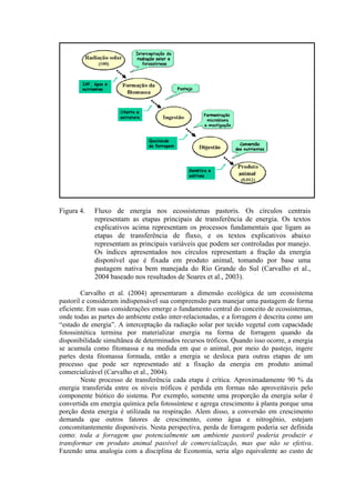 Figura 4. Fluxo de energia nos ecossistemas pastoris. Os círculos centrais
representam as etapas principais de transferência de energia. Os textos
explicativos acima representam os processos fundamentais que ligam as
etapas de transferência de fluxo, e os textos explicativos abaixo
representam as principais variáveis que podem ser controladas por manejo.
Os índices apresentados nos círculos representam a fração da energia
disponível que é fixada em produto animal, tomando por base uma
pastagem nativa bem manejada do Rio Grande do Sul (Carvalho et al.,
2004 baseado nos resultados de Soares et al., 2003).
Carvalho et al. (2004) apresentaram a dimensão ecológica de um ecossistema
pastoril e consideram indispensável sua compreensão para manejar uma pastagem de forma
eficiente. Em suas considerações emerge o fundamento central do conceito de ecossistemas,
onde todas as partes do ambiente estão inter-relacionadas, e a forragem é descrita como um
“estado de energia”. A interceptação da radiação solar por tecido vegetal com capacidade
fotossintética termina por materializar energia na forma de forragem quando da
disponibilidade simultânea de determinados recursos tróficos. Quando isso ocorre, a energia
se acumula como fitomassa e na medida em que o animal, por meio do pastejo, ingere
partes desta fitomassa formada, então a energia se desloca para outras etapas de um
processo que pode ser representado até a fixação da energia em produto animal
comercializável (Carvalho et al., 2004).
Neste processo de transferência cada etapa é crítica. Aproximadamente 90 % da
energia transferida entre os níveis tróficos é perdida em formas não aproveitáveis pelo
componente biótico do sistema. Por exemplo, somente uma proporção da energia solar é
convertida em energia química pela fotossíntese e agrega crescimento à planta porque uma
porção desta energia é utilizada na respiração. Alem disso, a conversão em crescimento
demanda que outros fatores de crescimento, como água e nitrogênio, estejam
concomitantemente disponíveis. Nesta perspectiva, perda de forragem poderia ser definida
como: toda a forragem que potencialmente um ambiente pastoril poderia produzir e
transformar em produto animal passível de comercialização, mas que não se efetiva.
Fazendo uma analogia com a disciplina de Economia, seria algo equivalente ao custo de
 