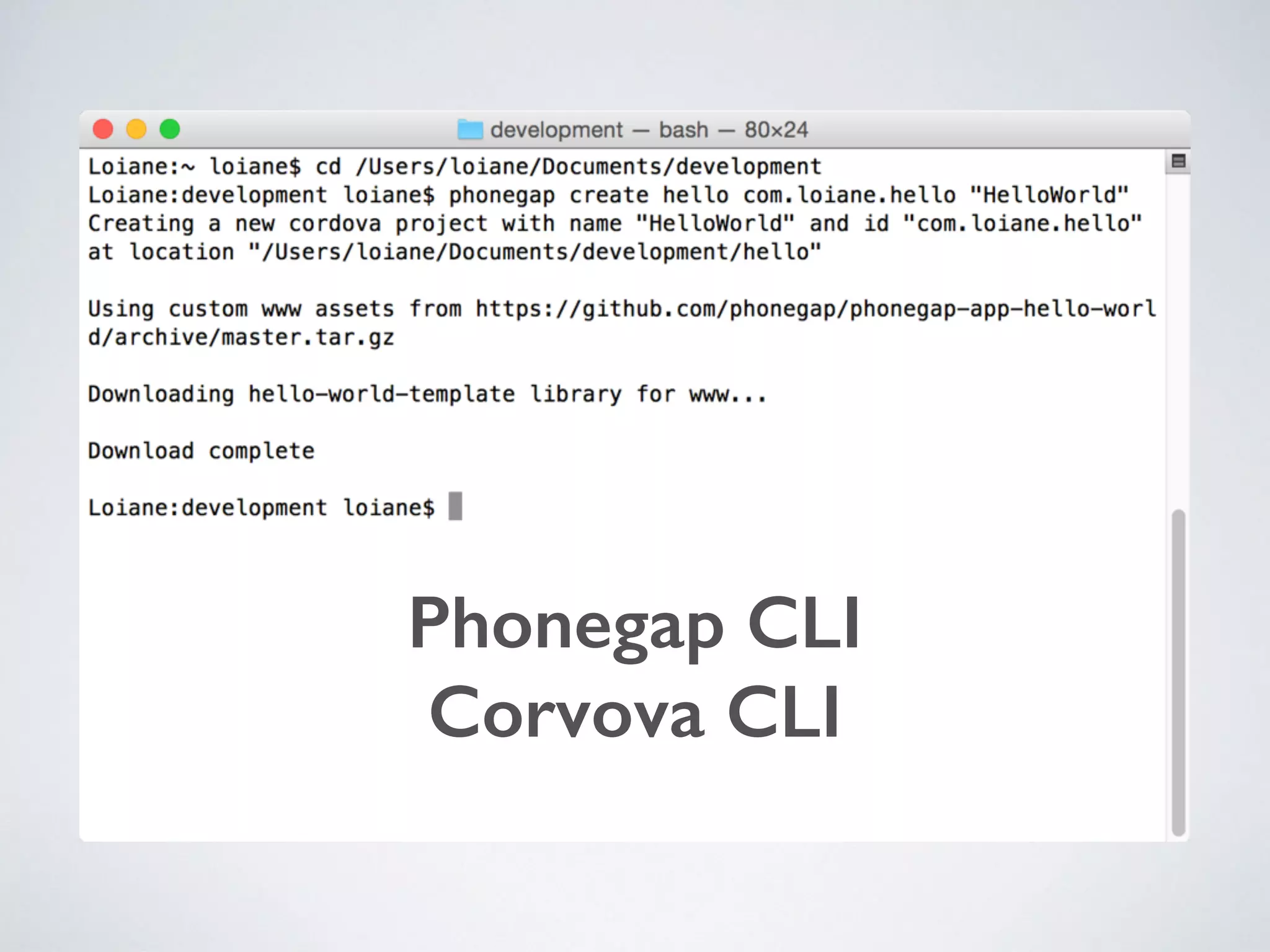 Phonegap CLI
Corvova CLI
 