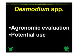 Desmodium spp.


Agronomic evaluation
Potential use
 