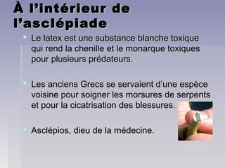 À l’intérieur deÀ l’intérieur de
l’asclépiadel’asclépiade
 Le latex est une substance blanche toxiqueLe latex est une substance blanche toxique
qui rend la chenille et le monarque toxiquesqui rend la chenille et le monarque toxiques
pour plusieurs prédateurs.pour plusieurs prédateurs.
 Les anciens Grecs se servaient d’une espèceLes anciens Grecs se servaient d’une espèce
voisine pour soigner les morsures de serpentsvoisine pour soigner les morsures de serpents
et pour la cicatrisation des blessures.et pour la cicatrisation des blessures.
 Asclépios, dieu de la médecine.Asclépios, dieu de la médecine.
 