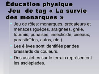 Éducation physiqueÉducation physique
Jeu de tag « La survieJeu de tag « La survie
des monarques »des monarques »
 Jeu de rôles: monarques, prédateurs etJeu de rôles: monarques, prédateurs et
menaces (guêpes, araignées, grêle,menaces (guêpes, araignées, grêle,
fourmis, punaises, insecticide, oiseaux,fourmis, punaises, insecticide, oiseaux,
parasitoïdes, autos, etc.).parasitoïdes, autos, etc.).
 Les élèves sont identifiés par desLes élèves sont identifiés par des
brassards de couleurs.brassards de couleurs.
 Des assiettes sur le terrain représententDes assiettes sur le terrain représentent
les asclépiades.les asclépiades.
 
