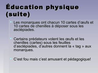 Éducation physiqueÉducation physique
(suite)(suite)
 Les monarques ont chacun 10 cartes d’œufs etLes monarques ont chacun 10 cartes d’œufs et
10 cartes de chenilles à déposer sous les10 cartes de chenilles à déposer sous les
asclépiades.asclépiades.
 Certains prédateurs volent les œufs et lesCertains prédateurs volent les œufs et les
chenilles (cartes) sous les feuilleschenilles (cartes) sous les feuilles
d’asclépiades, d’autres donnent la « tag » auxd’asclépiades, d’autres donnent la « tag » aux
monarques.monarques.
 C’est fou mais c’est amusant et pédagogique!C’est fou mais c’est amusant et pédagogique!
 