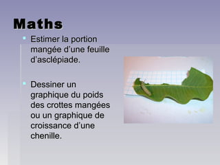 MathsMaths
 Estimer la portionEstimer la portion
mangée d’une feuillemangée d’une feuille
d’asclépiade.d’asclépiade.
 Dessiner unDessiner un
graphique du poidsgraphique du poids
des crottes mangéesdes crottes mangées
ou un graphique deou un graphique de
croissance d’unecroissance d’une
chenille.chenille.
 