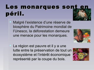 Les monarques sont enLes monarques sont en
péril.péril.
 Malgré l’existence d’une réserve deMalgré l’existence d’une réserve de
biosphère du Patrimoine mondial debiosphère du Patrimoine mondial de
l’Unesco, la déforestation demeurel’Unesco, la déforestation demeure
une menace pour les monarques.une menace pour les monarques.
 La région est pauvre et il y a uneLa région est pauvre et il y a une
lutte entre la préservation de tout unlutte entre la préservation de tout un
écosystème et l’intérêt économiqueécosystème et l’intérêt économique
représenté par la coupe du bois.représenté par la coupe du bois.
 