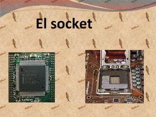 El socket 