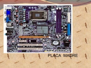 PLACA  MADRE 