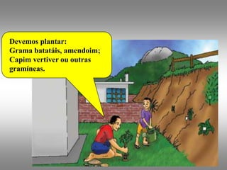 Devemos plantar:
Grama batatáis, amendoim;
Capim vertiver ou outras
gramíneas.
 