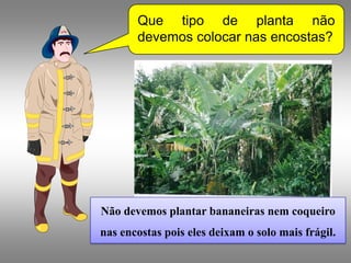 Que tipo de planta não
       devemos colocar nas encostas?




Não devemos plantar bananeiras nem coqueiro
nas encostas pois eles deixam o solo mais frágil.
 