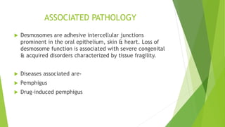 ASSOCIATED PATHOLOGY
 Desmosomes are adhesive intercellular junctions
prominent in the oral epithelium, skin & heart. Loss of
desmosome function is associated with severe congenital
& acquired disorders characterized by tissue fragility.
 Diseases associated are-
 Pemphigus
 Drug-induced pemphigus
 