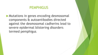 PEMPHIGUS
 Mutations in genes encoding desmosomal
components & autoantibodies directed
against the desmosomal cadherins lead to
severe epidermal blistering disorders
termed pemphigus.
 