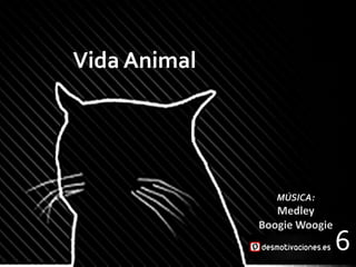Vida Animal




                 MÚSICA:
                 Medley
              Boogie Woogie
                              6
 