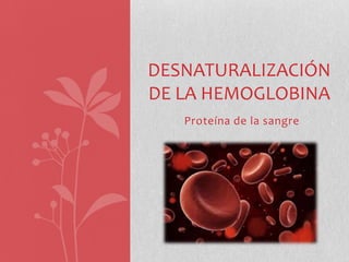 DESNATURALIZACIÓN
DE LA HEMOGLOBINA
   Proteína de la sangre
 