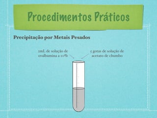 Procedimentos Práticos
Precipitação por Metais Pesados
5 gotas de solução de
acetato de chumbo
2mL de solução de
ovalbumina a 10%
 