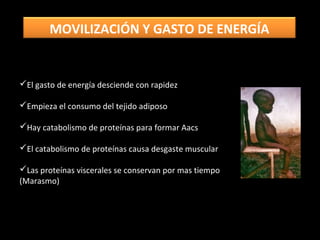 El gasto de energía desciende con rapidez
Empieza el consumo del tejido adiposo
Hay catabolismo de proteínas para formar Aacs
El catabolismo de proteínas causa desgaste muscular
Las proteínas viscerales se conservan por mas tiempo
(Marasmo)
MOVILIZACIÓN Y GASTO DE ENERGÍA
 
