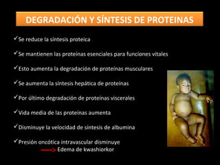 Se reduce la síntesis proteica
Se mantienen las proteínas esenciales para funciones vitales
Esto aumenta la degradación de proteínas musculares
Se aumenta la síntesis hepática de proteínas
Por último degradación de proteínas viscerales
Vida media de las proteínas aumenta
Disminuye la velocidad de síntesis de albumina
Presión oncótica intravascular disminuye
Edema de kwashiorkor
DEGRADACIÓN Y SÍNTESIS DE PROTEINAS
 