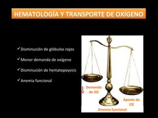 Disminución de glóbulos rojos
Menor demanda de oxígeno
Disminución de hematopoyesis
Anemia funcional
Demanda
de O2
Aporte de
O2
Anemia funcional
HEMATOLOGÍA Y TRANSPORTE DE OXÍGENO
 
