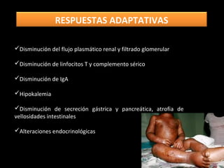 Disminución del flujo plasmático renal y filtrado glomerular
Disminución de linfocitos T y complemento sérico
Disminución de IgA
Hipokalemia
Disminución de secreción gástrica y pancreática, atrofia de
vellosidades intestinales
Alteraciones endocrinológicas
RESPUESTAS ADAPTATIVAS
 