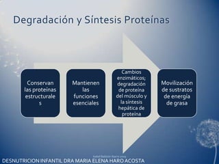 Degradación y Síntesis ProteínasIsabel Baldzón Ibarra 2009DESNUTRICION INFANTIL DRA MARIA ELENA HARO ACOSTA