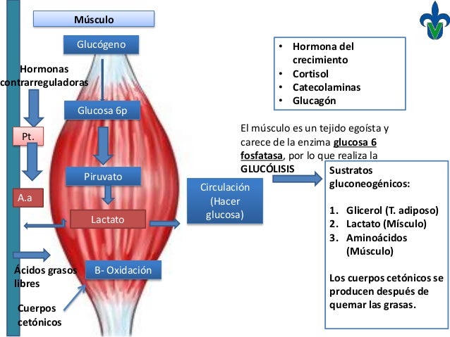 Desnutrición Desnutrición
