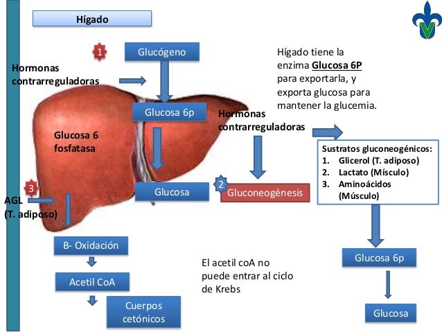Desnutrición Desnutrición