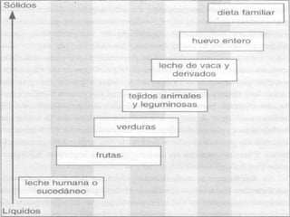 Al cumplir el primer año, cerca de la mitad de las necesidades energéticas del pequeño estarán cubiertas por alimentos diferentes de la leche materna.Las necesidades nutrimentales del niño en los primeros meses de la vida.La producción media de leche de la mujer.El desarrollo fisiológico del aparato digestivo del niño.