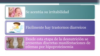 Se acentúa su irritabilidad
Fácilmente hay trastornos diarreicos
Desde esta etapa de la desnutrición se
presentan discretas manifestaciones de
edemas por hipoproteinemia
 