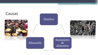 Causas
Hambre
Suministro
de
alimentos
Educación
 