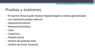 Pruebas y exámenes
• El examen físico puede mostrar hepatomegalia y edema generalizado
• Los exámenes pueden abarcar:
• Gasometría arterial
• Biometría hemática
• Urea
• Creatinina
• Potasio sérico
• Niveles de proteína total
• Análisis de orina: (Uremia)
 