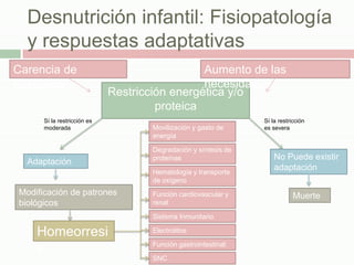 Desnutrición infantil: Fisiopatología
  y respuestas adaptativas
Carencia de                                    Aumento de las
nutrientes                                     necesidades
                             Restricción energética y/o
                                      proteica
      Sí la restricción es                                       Sí la restricción
      moderada                       Movilización y gasto de     es severa
                                     energía

                                     Degradación y síntesis de
                                     proteínas                       No Puede existir
  Adaptación
                                     Hematología y transporte
                                                                     adaptación
                                     de oxígeno
Modificación de patrones             Función cardiovascular y                Muerte
biológicos                           renal

                                     Sistema Inmunitario

    Homeorresi                       Electrolitos

                                     Función gastrointestinal:
    s
                                     SNC
 