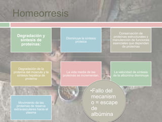 Homeorresis
                                                            Conservación de
  Degradación y                                         proteínas estructurales y
                              Disminuye la síntesis
   síntesis de                      proteica
                                                        manutención de funciones
    proteínas:                                          esenciales que dependen
                                                              de proteínas




   Degradación de la
proteína del músculo y la      La vida media de las      La velocidad de síntesis
  síntesis hepática de      proteínas se incrementan.   de la albúmina disminuye
        proteína



                                              •Fallo del
                                               mecanism
   Movimiento de las                           o = escape
 proteínas de reserva
extravasculares hacia el                       de
        plasma
                                               albúmina
 