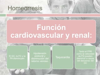 Homeorresis


        Función
 cardiovascular y renal:
                                                       Tanto el FPR
                      hipotensión                   como la velocidad
El GC, la FC y la      postural y                     de FG pueden
 PA disminuyen      disminución del   Taquicardia   disminuir a causa
                    retorno venoso.                  del descenso del
                                                            GC
 