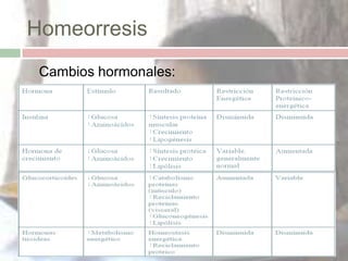 Homeorresis
   Cambios hormonales:
 