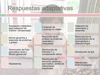 Respuestas adaptativas

Adaptación metabólica                             Detención de
                        Limitación de
para sobrevivir de                                crecimiento y
                        funciones no vitales
manera “compensada”.                              desarrollo

                        Reducción de la           Reducción en la
Normo glucemia a
                        síntesis de proteínas     concentración de la
expensas de proteínas
                        viscerales y              Hemoglobina y
y grasas
                        musculares                Glóbulos Rojos

Disminución del flujo   Disminución de
plasmático renal y      linfocitos T y            Disminución de IgA
filtrado glomerular     complemento sérico

                        Disminución de
                        secreción gástrica y
                                                  Alteraciones
Hipokalemia             pancreática, atrofia de
                                                  endocrinológicas
                        vellosidades
                        intestinales
 
