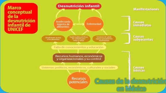 Dieta para adelgazar 5 kg en dos semanas las catequinas Todo Carbohidratos complejos dieta para adelgazar 5 kg en dos semanas que veas floreciente