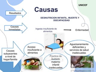 Causas
DESNUTRICION INFANTIL, MUERTE Y
DISCAPACIDAD
Ingesta insuficiente de
alimentos
Enfermedad
Acceso
insuficiente a
alimentos
Practica de
cuidado
materno
infantil
inadecuadas
Agua/sanemiento
deficientes y
servicios de salud
inadecuadas
Resultados
Causas
inmediatas
Causas
subyacentes
a nivel de
hogar/familia
UNICEF
 