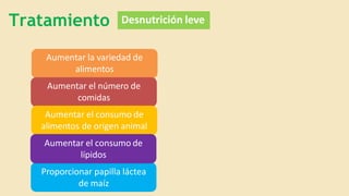 Tratamiento Desnutrición leve
Aumentar la variedad de
alimentos
Aumentar el número de
comidas
Aumentar el consumo de
alimentos de origen animal
Aumentar el consumo de
lípidos
Proporcionar papilla láctea
de maíz
 