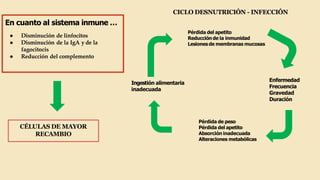 En cuanto al sistema inmune …
● Disminución de linfocitos
● Disminución de la IgA y de la
fagocitocis
● Reducción del complemento
CICLO DESNUTRICIÓN - INFECCIÓN
Pérdida del apetito
Reducción de la inmunidad
Lesionesde membranas mucosas
Enfermedad
Frecuencia
Gravedad
Duración
Pérdida de peso
Pérdida del apetito
Absorción inadecuada
Alteraciones metabólicas
Ingestión alimentaria
inadecuada
CÉLULAS DE MAYOR
RECAMBIO
 