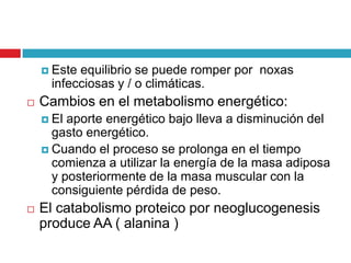  Este

equilibrio se puede romper por noxas
infecciosas y / o climáticas.



Cambios en el metabolismo energético:
 El

aporte energético bajo lleva a disminución del
gasto energético.
 Cuando el proceso se prolonga en el tiempo
comienza a utilizar la energía de la masa adiposa
y posteriormente de la masa muscular con la
consiguiente pérdida de peso.


El catabolismo proteico por neoglucogenesis
produce AA ( alanina )

 
