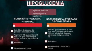 Signo de infección
 Aparece junto a
hipotermia
CONSCIENTE + GLICEMIA
< 54 MG/DL.
Bolo 50 ml de solución de
glucosa o sacarosa al 10%
Régimen F-75, que contiene 75
kcal y 0,9 g de proteínas por
100 ml CADA 30 MN POR 2 H.
Antibióticos
Alimento cada 2 horas
INCONSCIENTE ALETARGADO
O CONVULSIONES
5ML/KG glucosa esteril al 10%
IV + 50MLglucosa o sacarosa al
10% por sonda NG. Después
administre el régimen inicial F-
75
Antibiotico
Alimento cada 2 horas día y
noche.
 