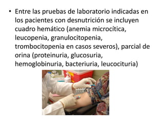 • Entre las pruebas de laboratorio indicadas en
  los pacientes con desnutrición se incluyen
  cuadro hemático (anemia microcítica,
  leucopenia, granulocitopenia,
  trombocitopenia en casos severos), parcial de
  orina (proteinuria, glucosuria,
  hemoglobinuria, bacteriuria, leucocituria)
 