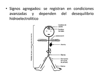 • Signos agregados: se registran en condiciones
avanzadas y dependen del desequilibrio
hidroelectrolitico
 