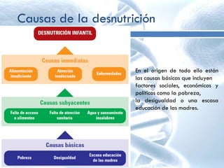 Causas de la desnutrición
En el origen de todo ello están
las causas básicas que incluyen
factores sociales, económicos y
políticos como la pobreza,
la desigualdad o una escasa
educación de las madres.
 