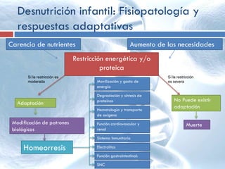 Desnutrición infantil: Fisiopatología y
respuestas adaptativas
Restricción energética y/o
proteica
Aumento de las necesidadesCarencia de nutrientes
Muerte
Sí la restricción es
moderada
Sí la restricción
es severa
Adaptación
No Puede existir
adaptación
Modificación de patrones
biológicos
Homeorresis
Movilización y gasto de
energía
Degradación y síntesis de
proteínas
Hematología y transporte
de oxígeno
Función cardiovascular y
renal
Sistema Inmunitario
Electrolitos
Función gastrointestinal:
SNC
 